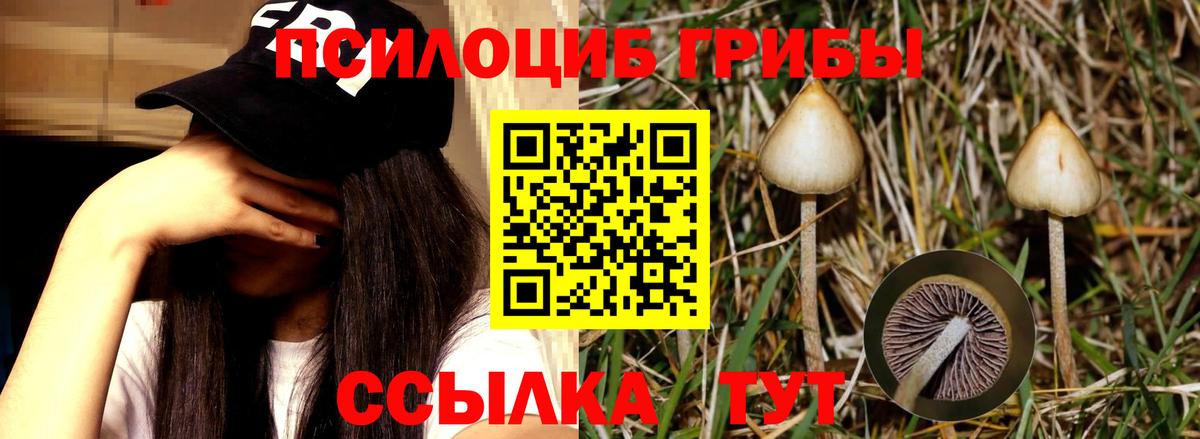 Полысаево  Псилоцибиновые грибы Magic Shrooms  как найти   Псилоцибиновые грибы Magic Shrooms  Вход с VPN 